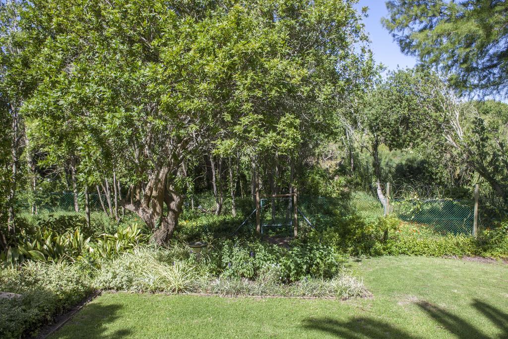 33 Strawberry Lane - Studio And Cottage Cape Town Exterior photo