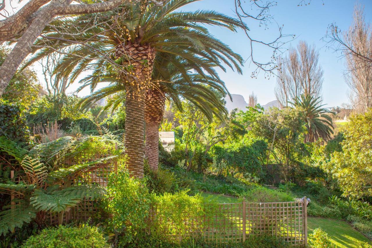 33 Strawberry Lane - Studio And Cottage Cape Town Exterior photo