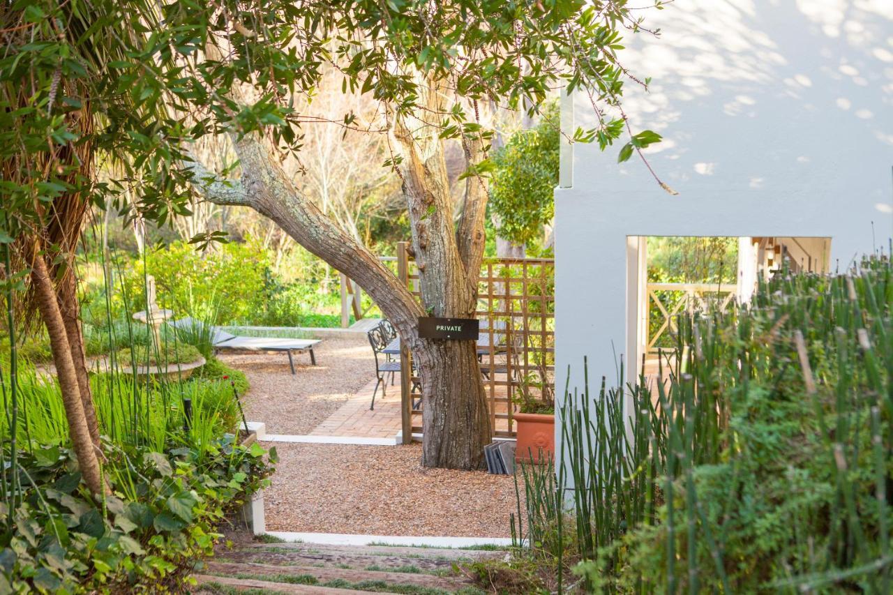 33 Strawberry Lane - Studio And Cottage Cape Town Exterior photo