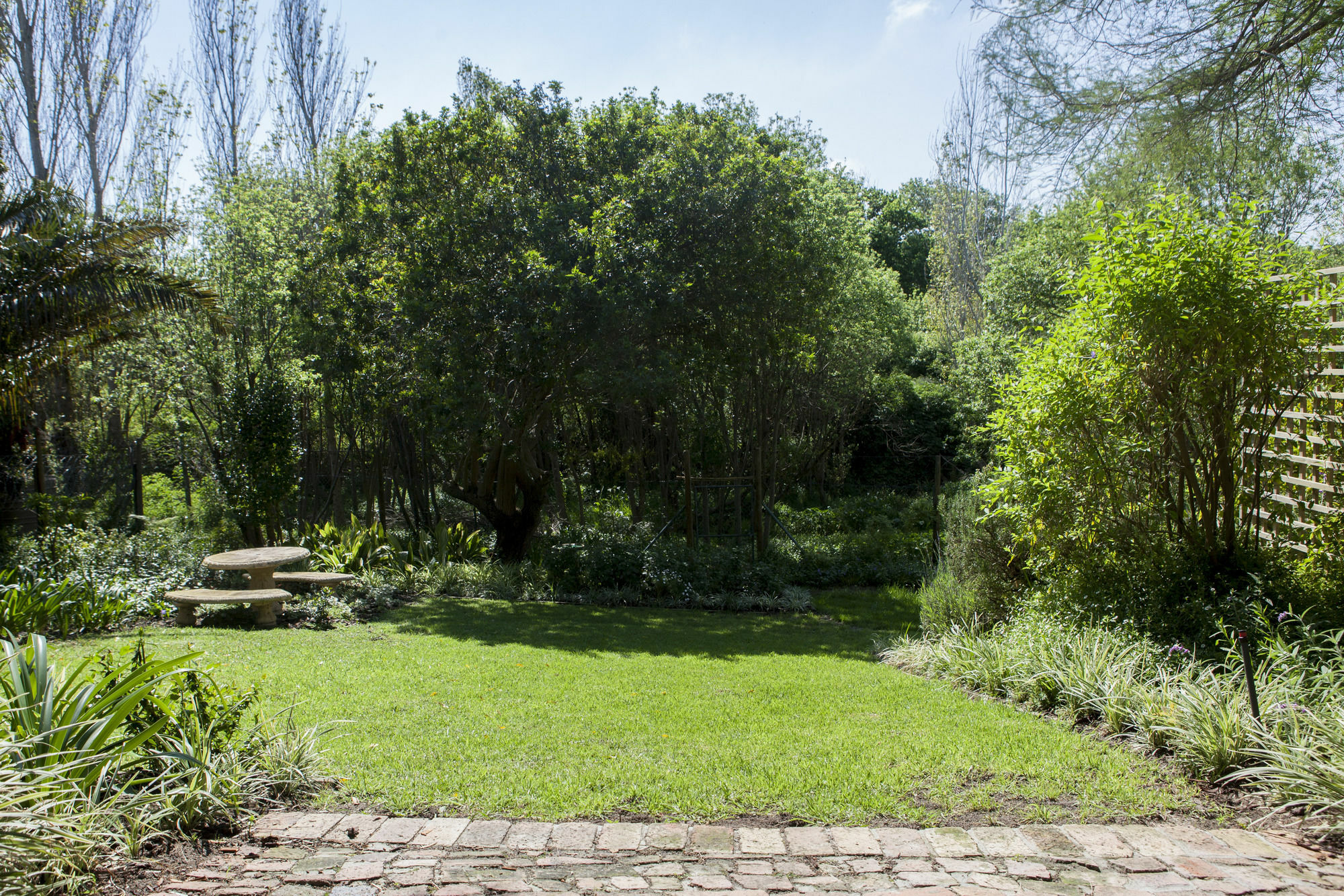 33 Strawberry Lane - Studio And Cottage Cape Town Exterior photo
