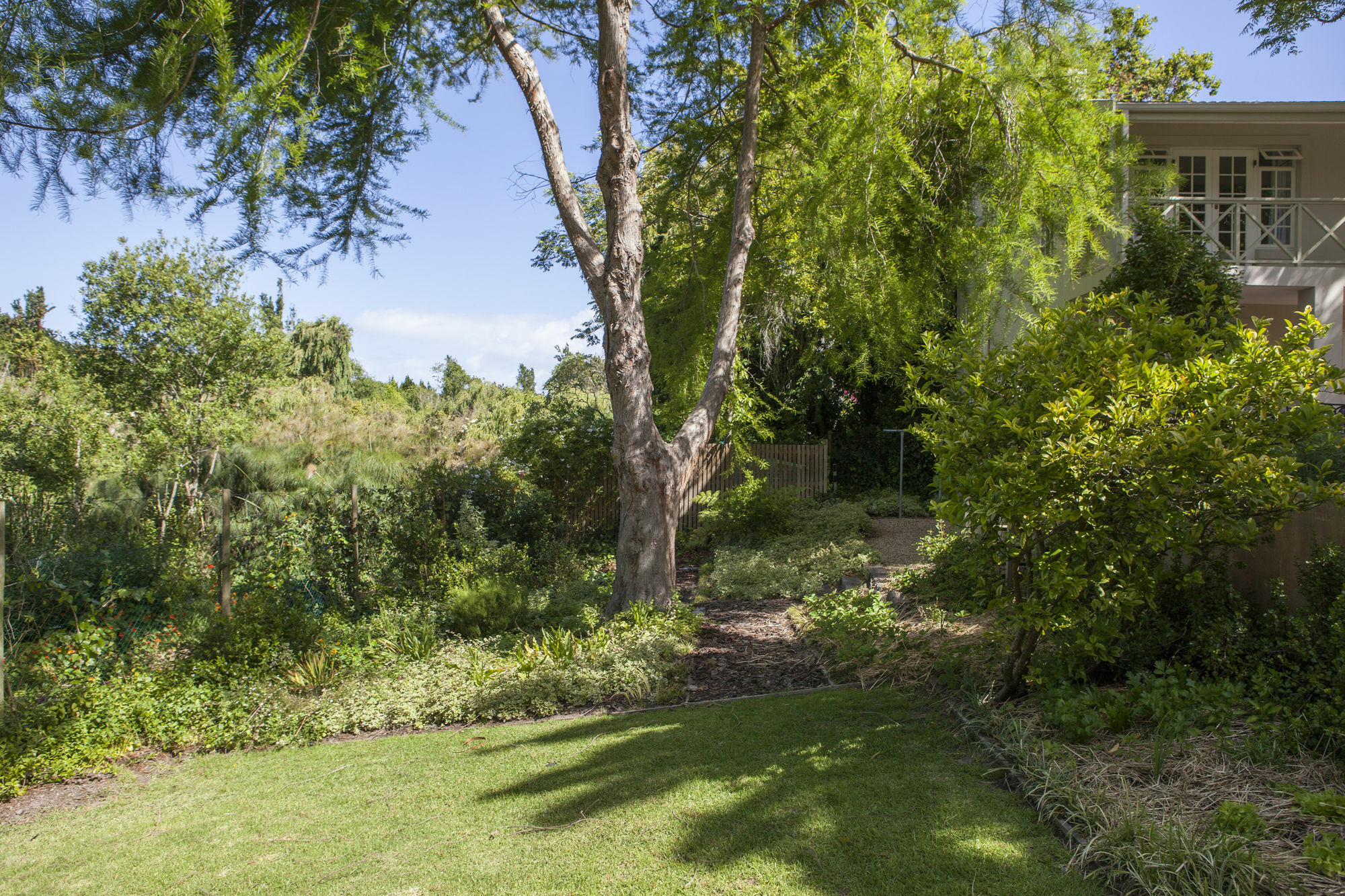 33 Strawberry Lane - Studio And Cottage Cape Town Exterior photo