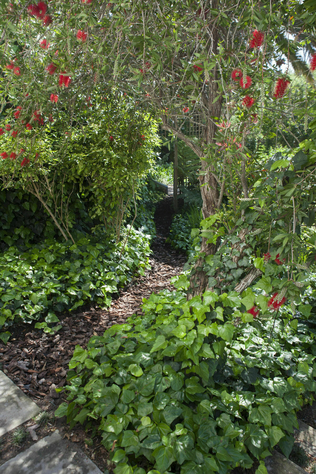 33 Strawberry Lane - Studio And Cottage Cape Town Exterior photo