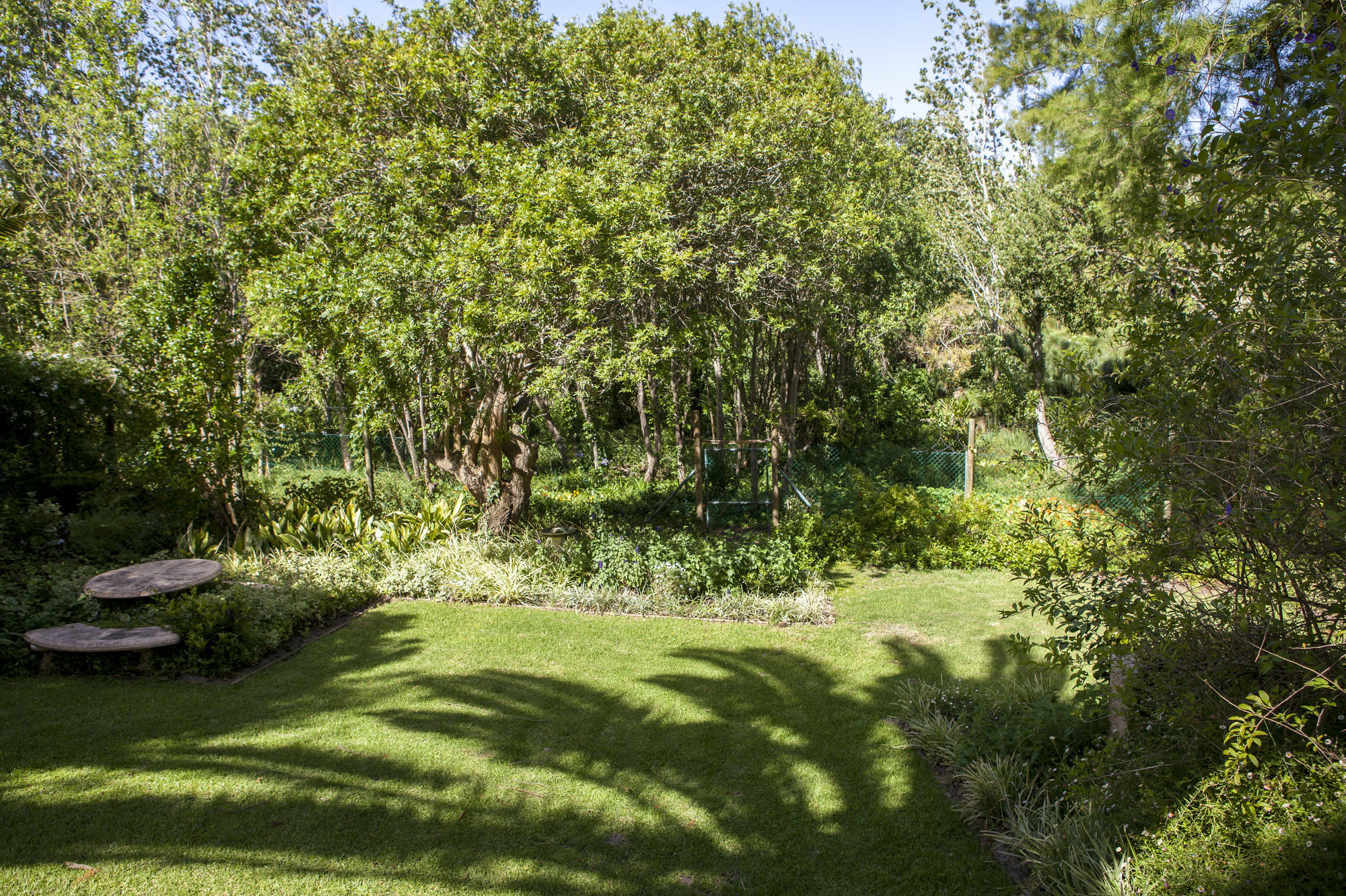 33 Strawberry Lane - Studio And Cottage Cape Town Exterior photo